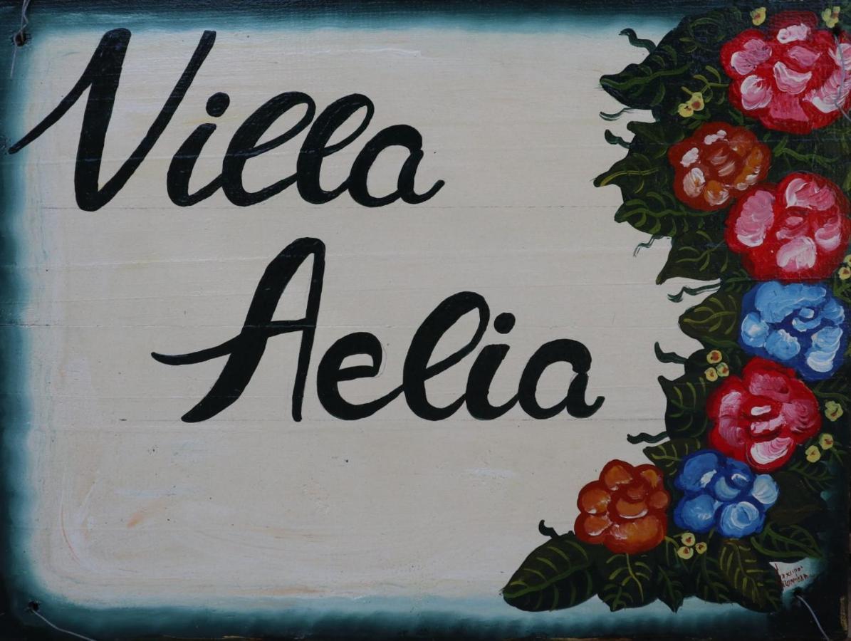 Villa Aelia - A Peaceful And Private Place Αργοστόλι Εξωτερικό φωτογραφία