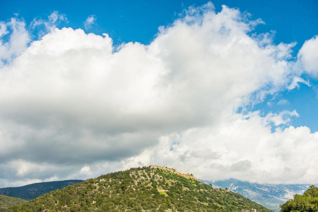 Villa Aelia - A Peaceful And Private Place Αργοστόλι Εξωτερικό φωτογραφία