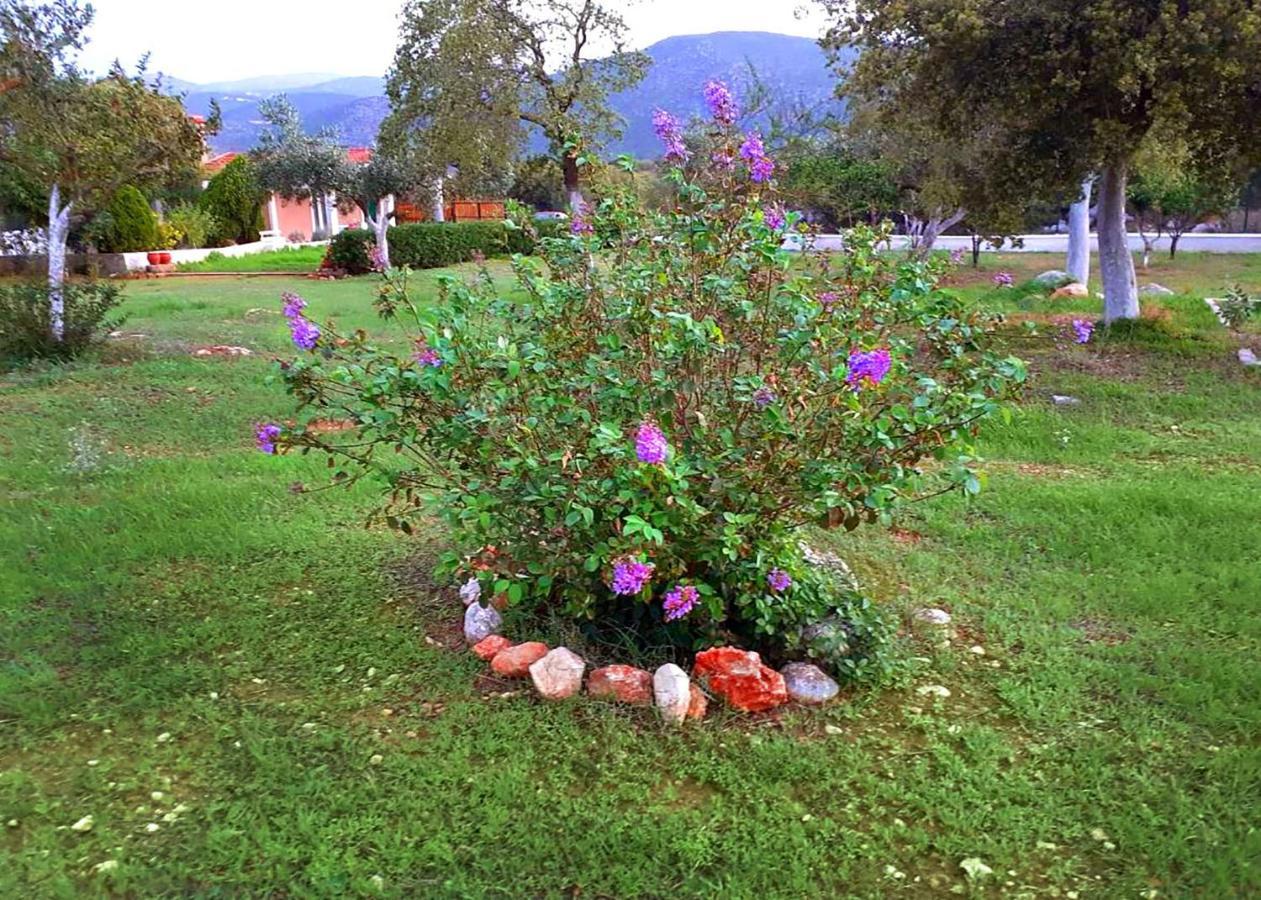 Villa Aelia - A Peaceful And Private Place Αργοστόλι Εξωτερικό φωτογραφία