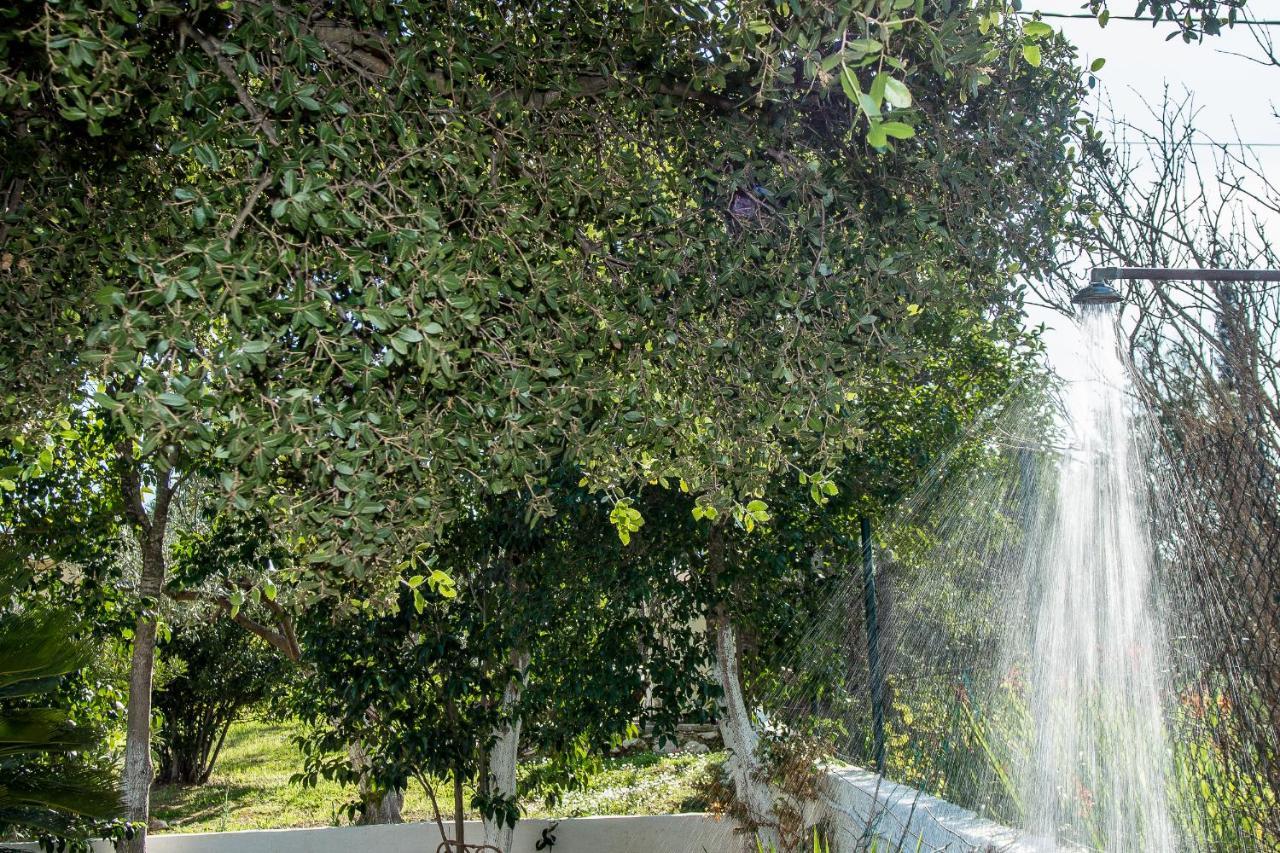 Villa Aelia - A Peaceful And Private Place Αργοστόλι Εξωτερικό φωτογραφία